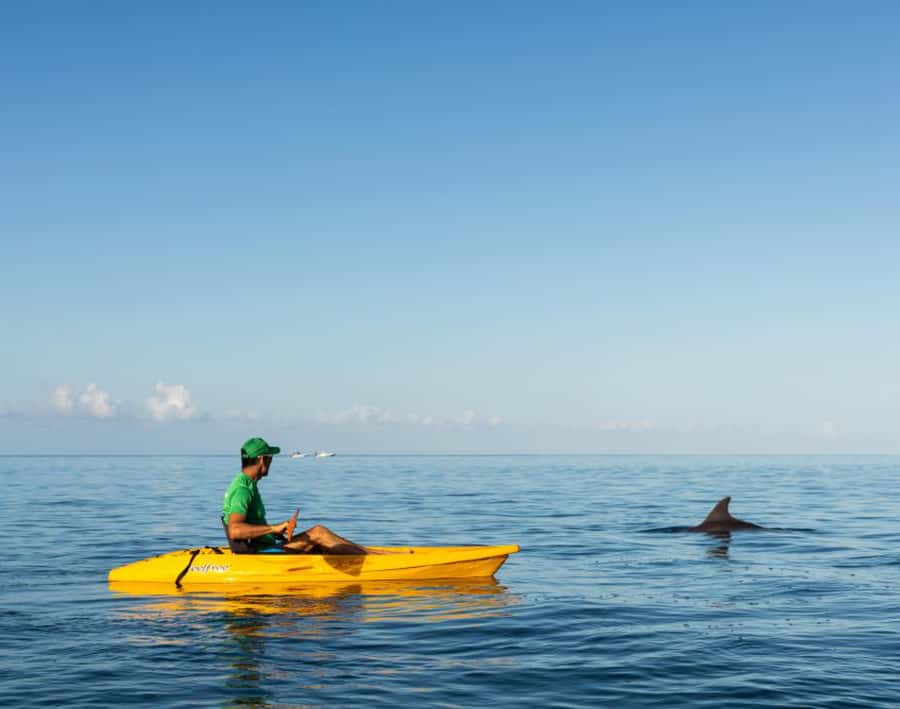 Tamarin: Guided Kayak Tour with Dolphins - Sunrise At Tamarin Beach