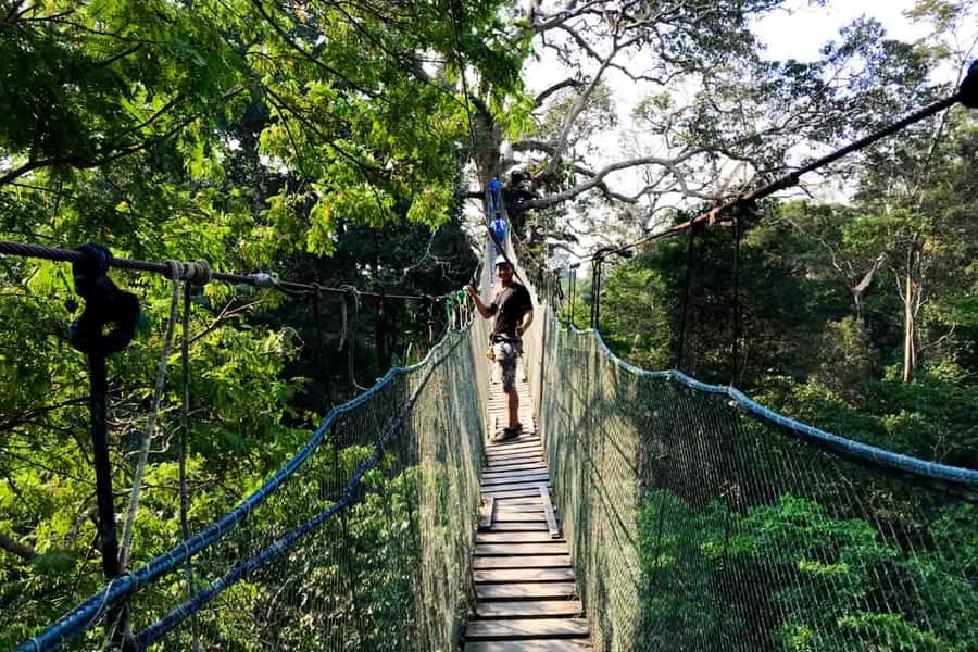Tambopata: Zipline Adventure & Kayak to Monkey Island - Should you book the zipline and Monkey Island tour?