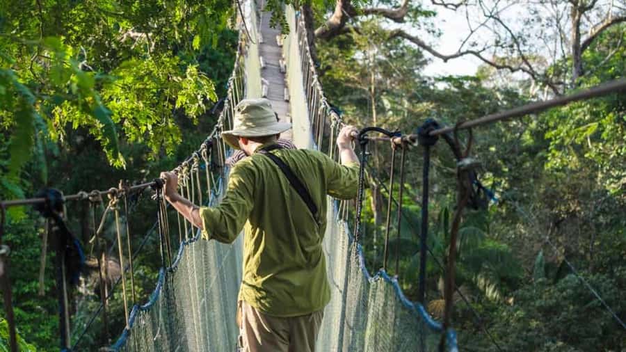 Tambopata: Zipline Adventure & Kayak to Monkey Island - From Puerto Maldonado to the jungle lodge