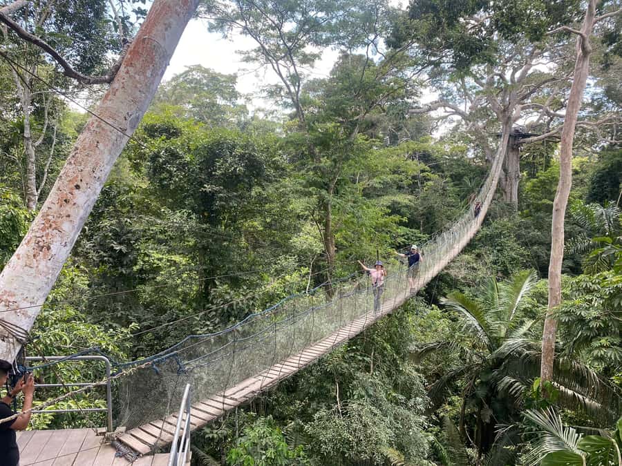 Tambopata: Zipline Adventure & Kayak to Monkey Island - Kayaking on the Madre de Dios River