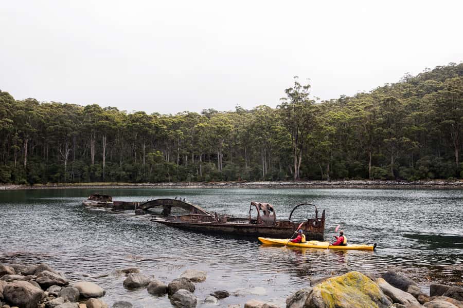 Tasman Peninsula Full-Day Sea Kayak Excursion - Key points to know before you book