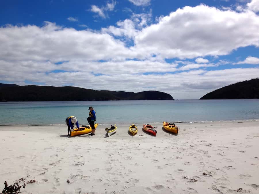Tasman Peninsula Full-Day Sea Kayak Excursion - Is $212 a fair price?