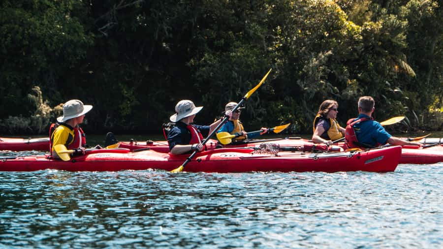 Tauranga: Daytime Scenic Lake McLaren Kayak Tour - Key details before you book