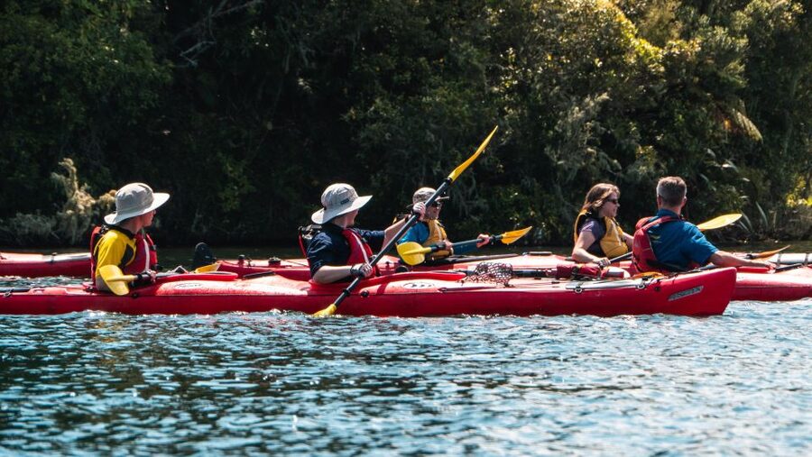 Tauranga: Daytime Scenic Lake McLaren Kayak Tour - The main strength and the main limitation