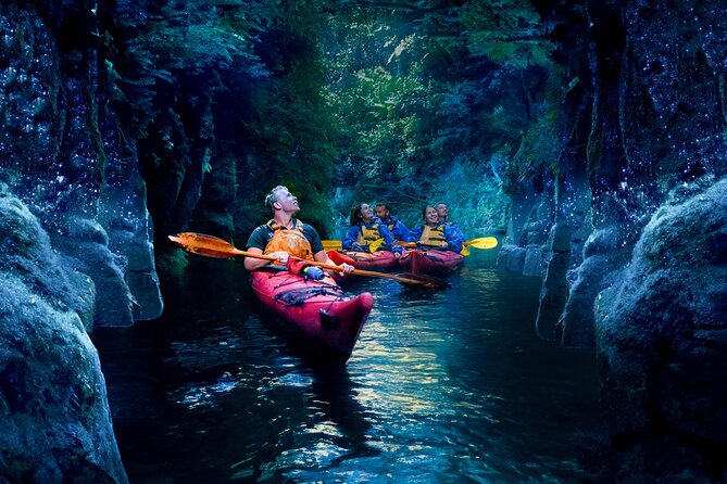 Tauranga: Evening Glowworm Kayak Tour - Refreshments beside the lake