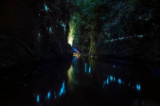 Tauranga: Evening Glowworm Kayak Tour - Reaching the glowworm canyon