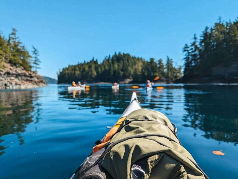 Telegraph Cove: Half-Day Kayaking Tour - From 24 Boardwalk to the water
