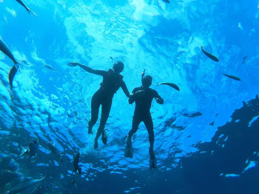Tenerife: Eco Kayak & Snorkeling - Who should choose this Palm-Mar outing