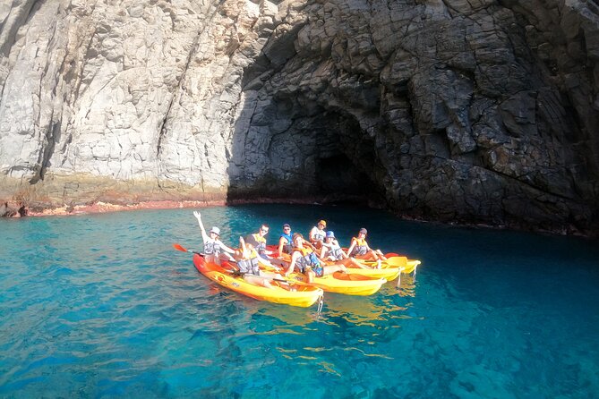 Tenerife: Kayak and snorkel with marine life safari - Who will enjoy this trip most