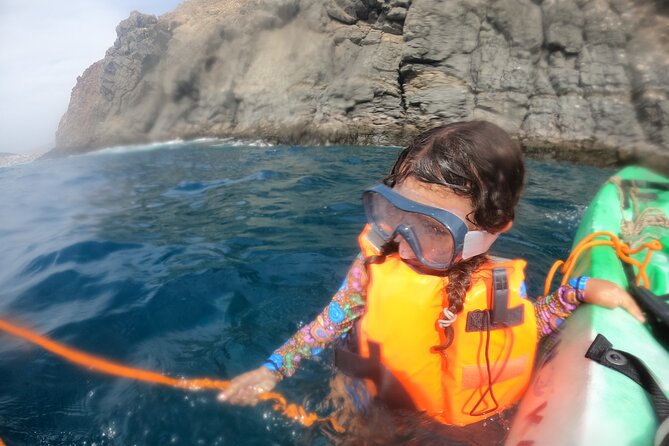 Tenerife: Kayak and snorkel with marine life safari - Practical ways to make the morning better