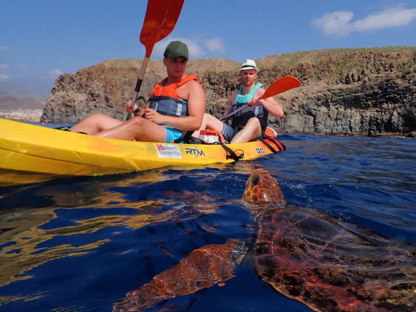 Tenerife: Kayak and Snorkel with Turtles, Wetsuits Included - The details that matter most