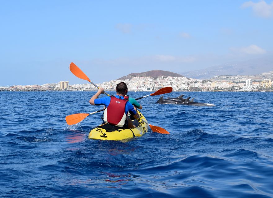 Tenerife: Kayak and Snorkel with Turtles, Wetsuits Included - Playa de Los Cristianos: the first hour on the water