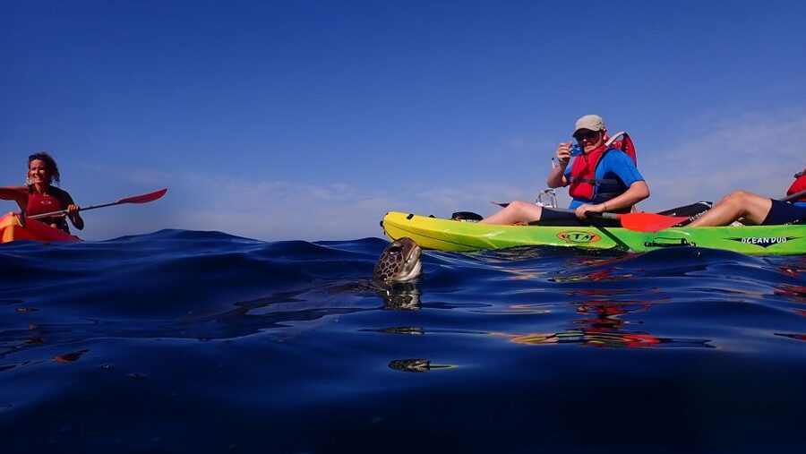Tenerife: Kayak and Snorkel with Turtles, Wetsuits Included - Cueva de los Enamorados and the coastal views