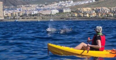 Kayak Safari and Snorkel in a Marine Reserve