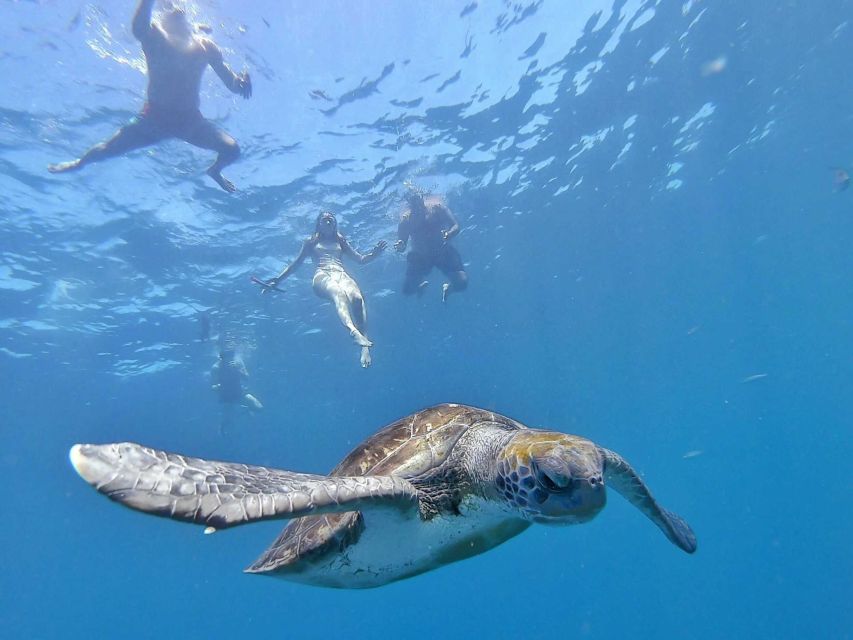 Tenerife: Kayak Safari and Snorkel in a Marine Reserve - The sea cave and the snorkeling stop