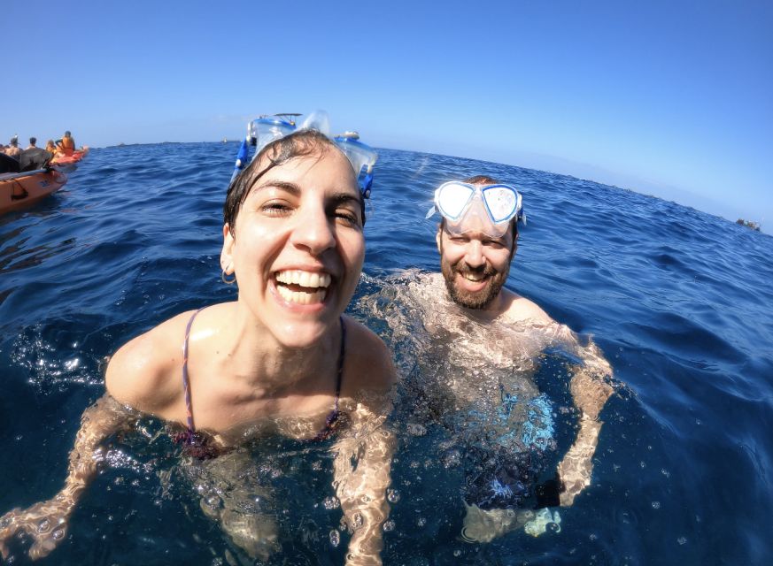 Tenerife: Kayak Safari and Snorkel in a Marine Reserve - Who will enjoy this kayak safari most?