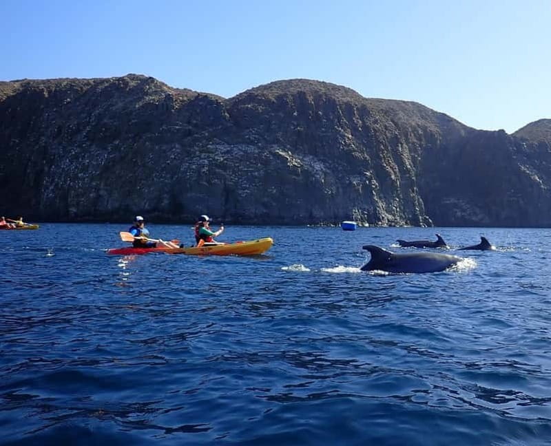 Tenerife: Kayak Sea Safari with Snorkel and Snacks - Starting near Los Cristianos Beach
