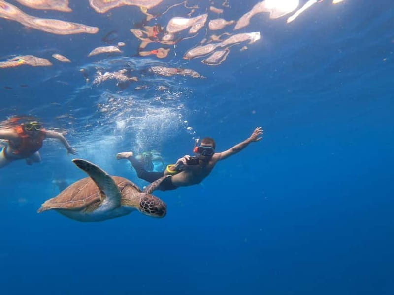 Tenerife: Kayak Sea Safari with Snorkel and Snacks - The first hour: paddling along the cliffs