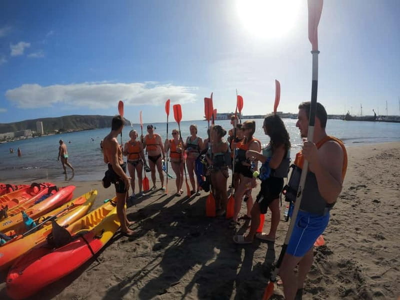 Tenerife: Kayak Sea Safari with Snorkel and Snacks - The 30-minute snorkeling stop