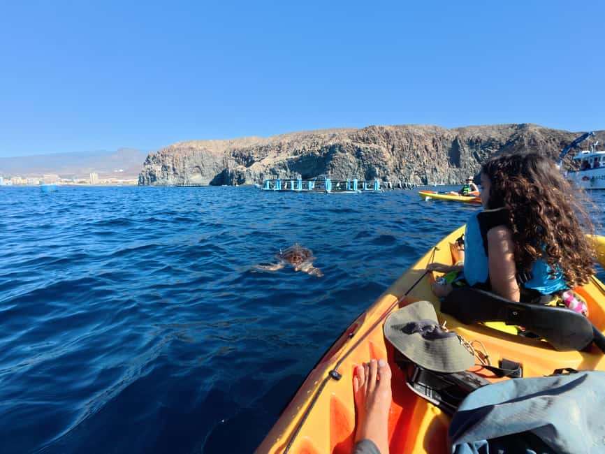 Tenerife: Kayak Sea Safari with Snorkel and Snacks - What the $41 price really buys you