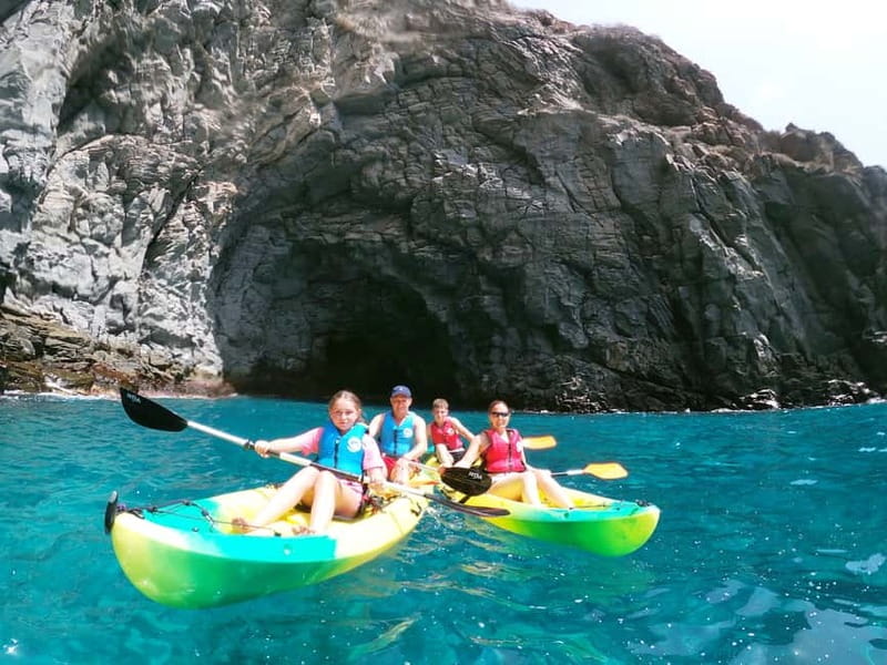Tenerife: Kayak & Snorkel with Local Fauna, Photos Included - Key points at a glance