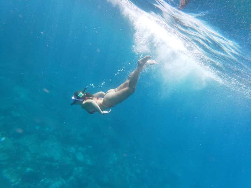Tenerife: Kayak & Snorkel with Local Fauna, Photos Included - Is $36 good value?