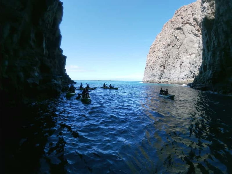 Tenerife: Kayak & Snorkel with Local Fauna, Photos Included - Setting out from Los Cristianos beach