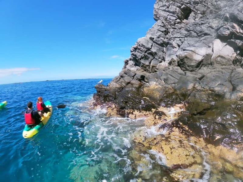 Tenerife: Kayak & Snorkel with Local Fauna, Photos Included - The final 30 minutes back to shore
