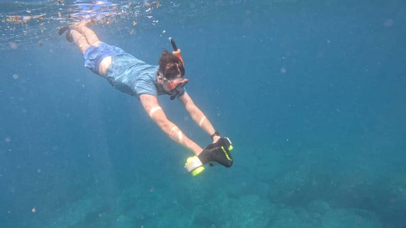 Tenerife: Kayak Tour with Animals and Underwater Scooters - The Palmar cave and the snorkeling stop