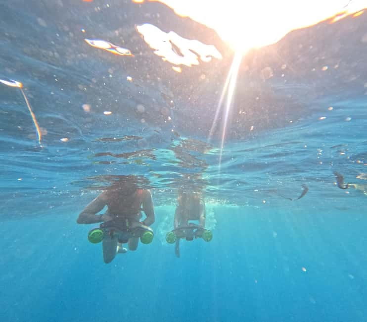 Tenerife: Kayak Tour with Animals and Underwater Scooters - Who should book this kayak tour?