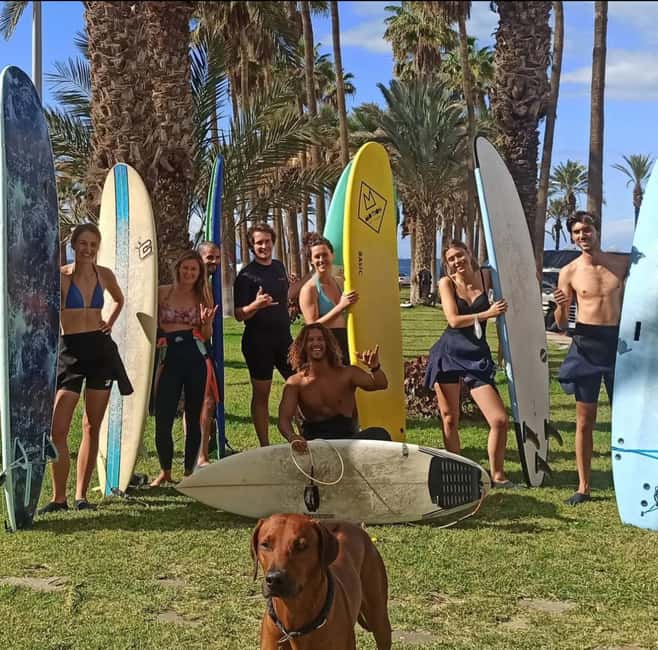 Tenerife: Paddle Surf Experience in Playa de las Américas - Quick points to know before booking