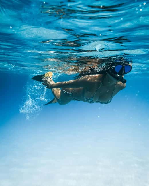 Tenerife: Paddle Surf Experience in Playa de las Américas - Guided snorkeling in clear water