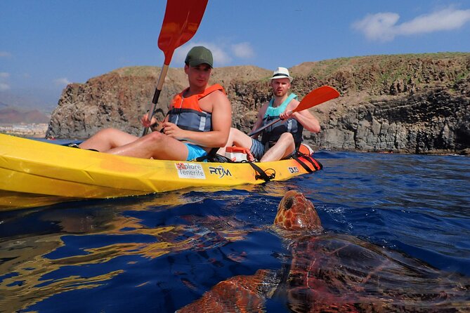 Tenerife: Turtle & Dolphin Kayak Tour with Snorkel & Wetsuit - Starting at Los Cristianos with Xplore Tenerife
