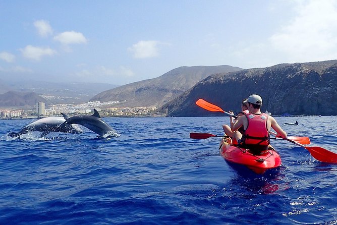 Tenerife: Turtle & Dolphin Kayak Tour with Snorkel & Wetsuit - Along the west coast beneath the Guaza Mountains