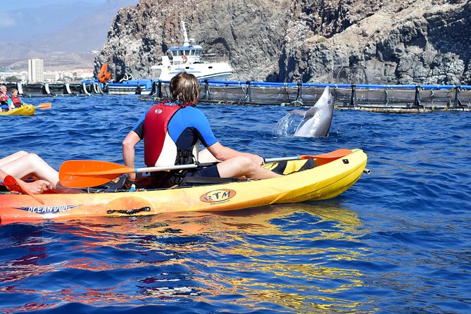 Tenerife: Turtle & Dolphin Kayak Tour with Snorkel & Wetsuit - Looking for dolphins in open water