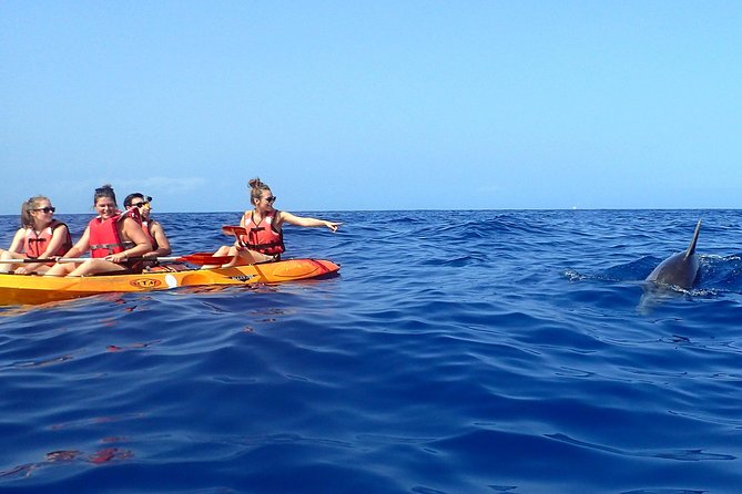 Tenerife: Turtle & Dolphin Kayak Tour with Snorkel & Wetsuit - Turtles, fish, rays, and the snorkeling stop