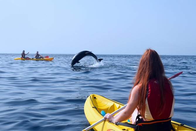 Tenerife: Turtle & Dolphin Kayak Tour with Snorkel & Wetsuit - The return paddle and Mount Teide views