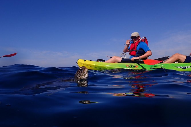 Tenerife: Turtle & Dolphin Kayak Tour with Snorkel & Wetsuit - Guides make a major difference