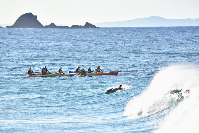 The Byron Bay Sea Kayak Tour - Paddling Toward Cape Byron and the Lighthouse