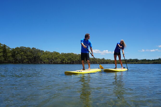 The Byron Bay Sea Kayak Tour - Wildlife Watching in Byron Bay