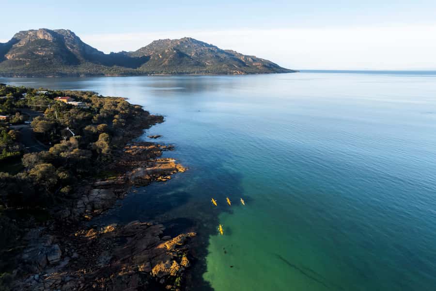The Freycinet Paddle Kayak Tour - Wildlife along the Freycinet shoreline