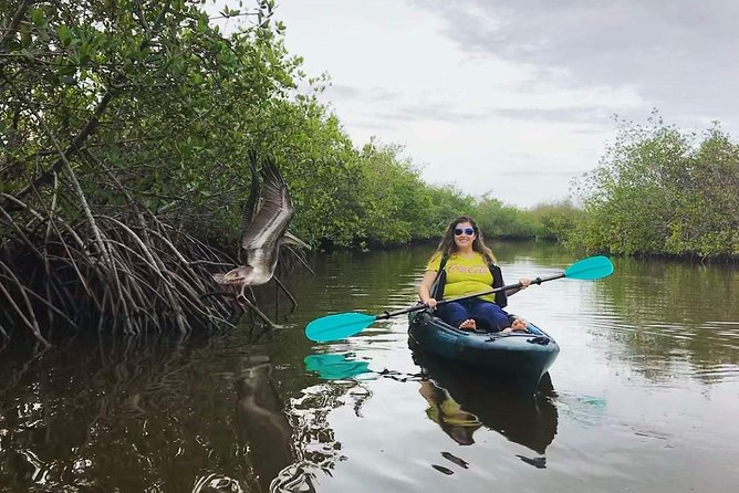 Thousand Island Mangrove Tunnel, Manatee & Dolphin Kayak Tour w/Cocoa Kayaking - Getting comfortable before launch
