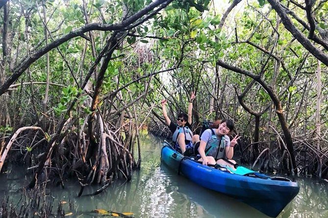 Thousand Island Mangrove Tunnel, Manatee & Dolphin Kayak Tour w/Cocoa Kayaking - Open water, birds, and the search for manatees