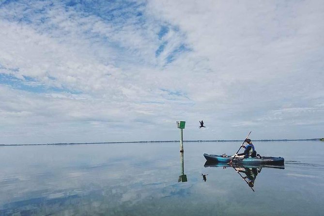 Thousand Island Mangrove Tunnel, Manatee & Dolphin Kayak Tour w/Cocoa Kayaking - The guides make the difference