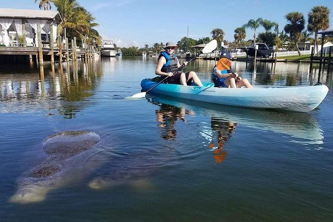 Thousand Island Mangrove Tunnel, Manatee & Dolphin Kayak Tour w/Cocoa Kayaking - Timing, weather, and practical limits