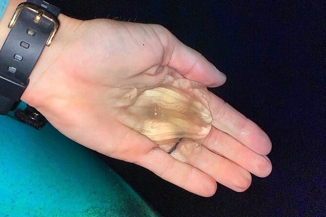 Thousand Islands Bioluminescent Kayak Tour with Cocoa Kayaking! - What the Cocoa Beach night paddle is really about