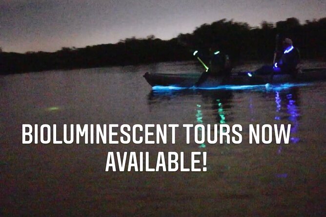 Thousand Islands Bioluminescent Kayak Tour with Cocoa Kayaking! - Is $150 a fair price for two hours?
