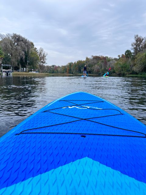 Three Sister Springs: Self Guided Tour- Clear Kayak Rental - Starting at King’s Bay’s public boat ramp