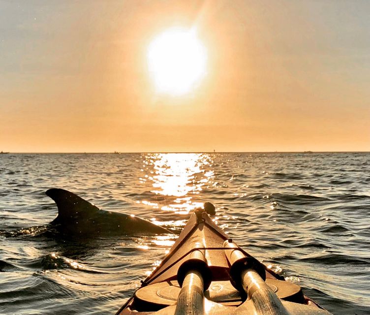 Tierra Verde FL: Coastal Kayaking Tour in Shell Key - Small details that improve the day