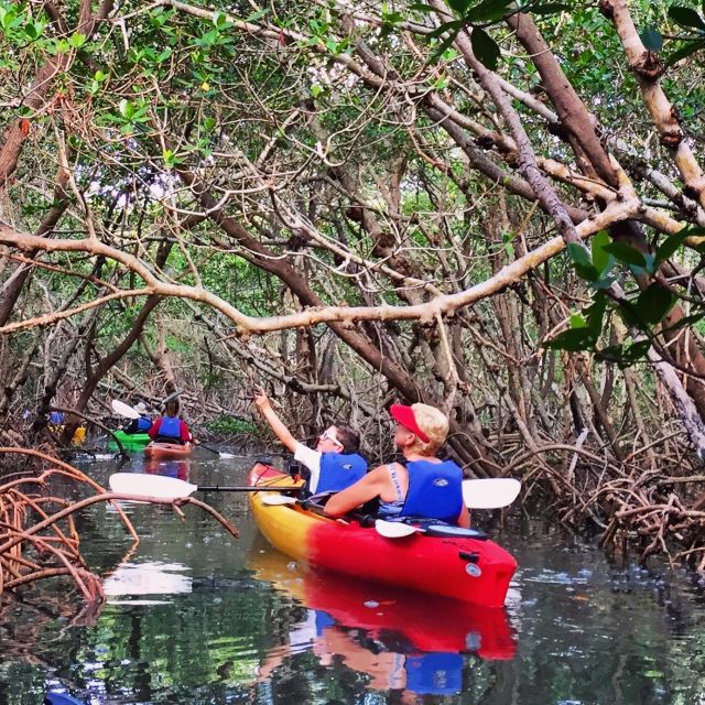 Tierra Verde FL: Coastal Kayaking Tour in Shell Key - Why Shell Key Preserve is a good place to kayak